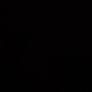 Meet your Posher, Beverly